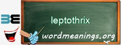 WordMeaning blackboard for leptothrix